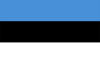Telefonkonferenz mit Teilnehmern aus Estland